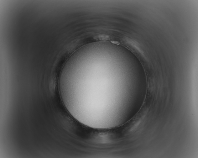 X0000089460645200706291502