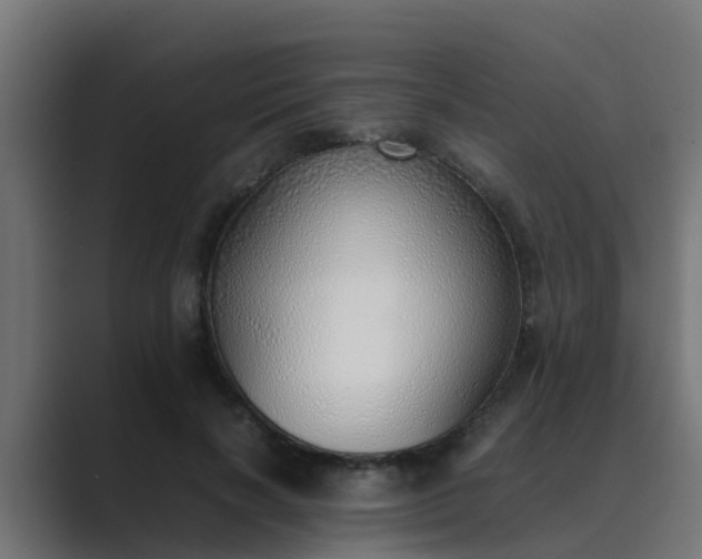 X0000089460646200706291502