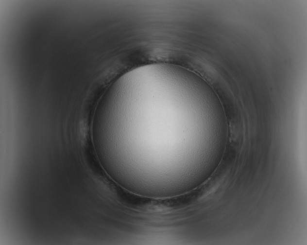 X0000089460648200706291502