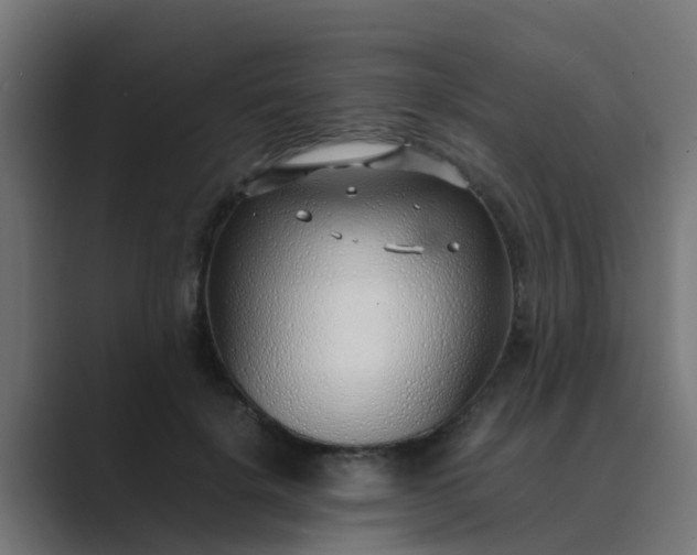 X0000089460652200706291502