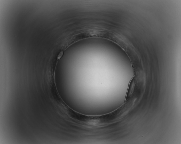 X0000089460653200706291502