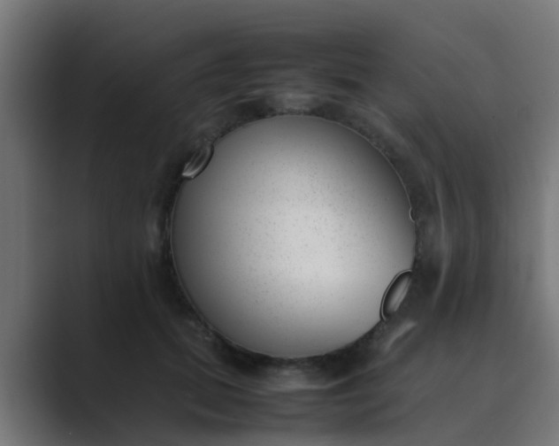 X0000089460655200706291502
