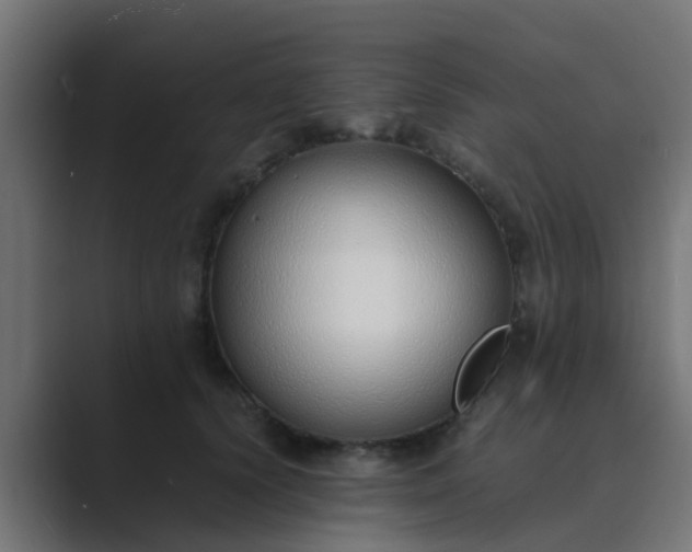X0000089460656200706291502