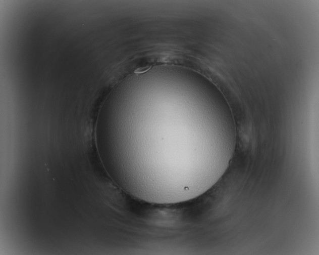 X0000089460657200706291502