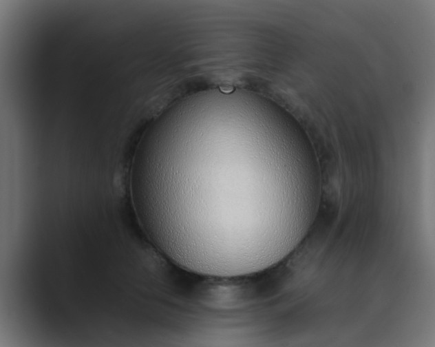 X0000089460658200706291502