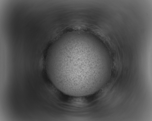 X0000089460659200706291502