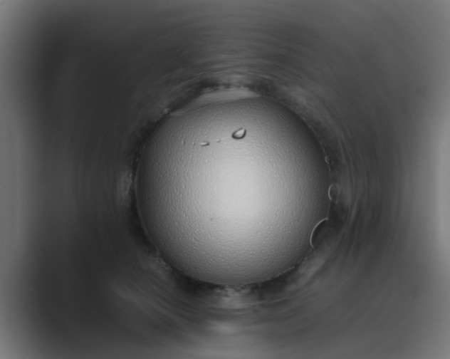 X0000089460660200706291502
