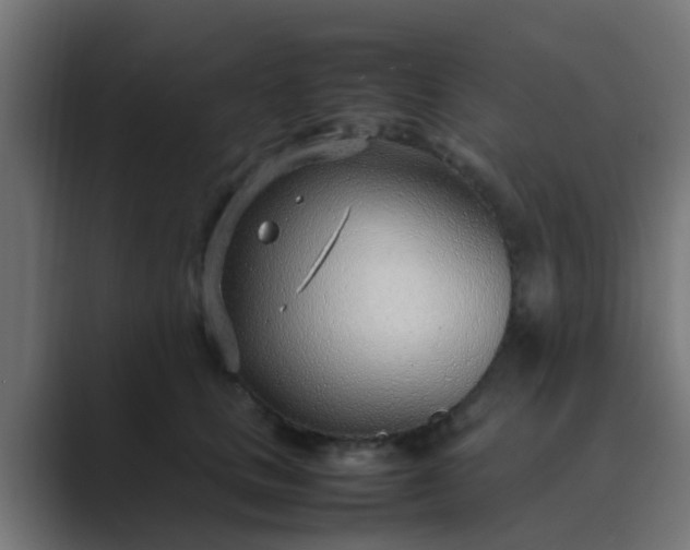 X0000089460661200706291502