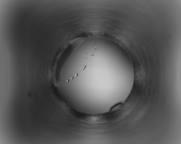 X0000089460662200706291502
