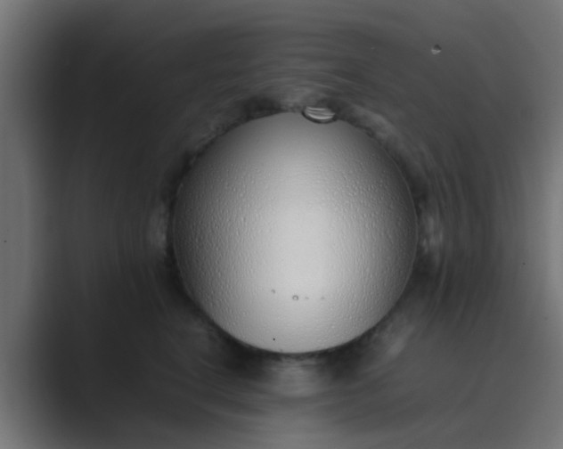X0000089460664200706291502