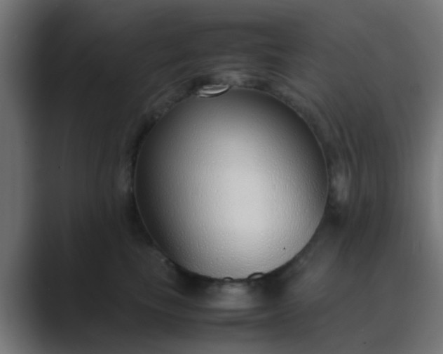 X0000089460665200706291502