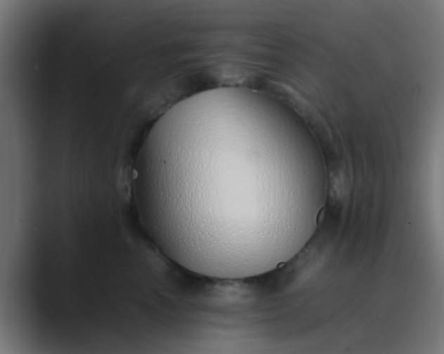 X0000089460666200706291502