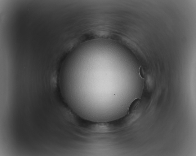 X0000089460668200706291502