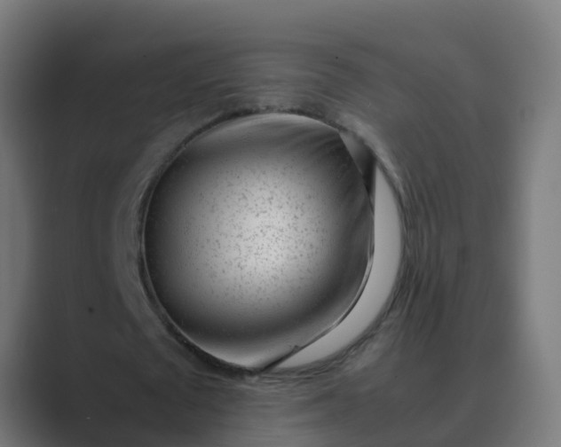 X0000089460673200706291502