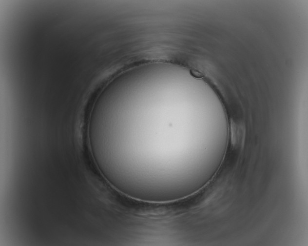 X0000089460675200706291502