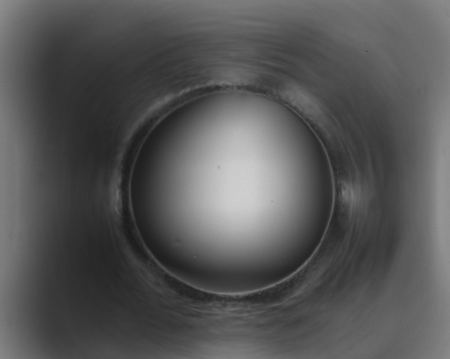 X0000089460676200706291502
