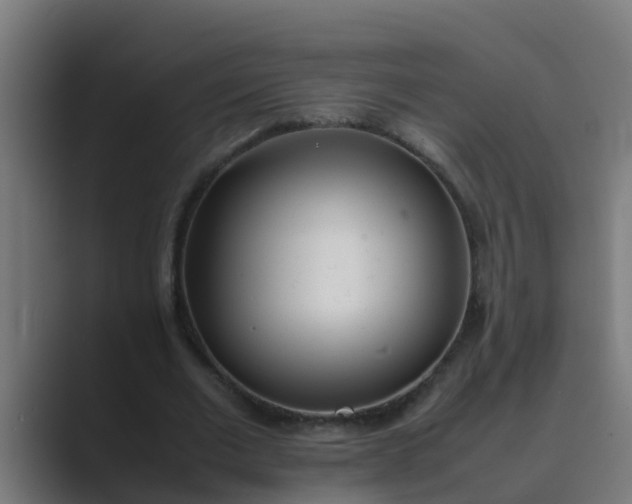 X0000089460677200706291502