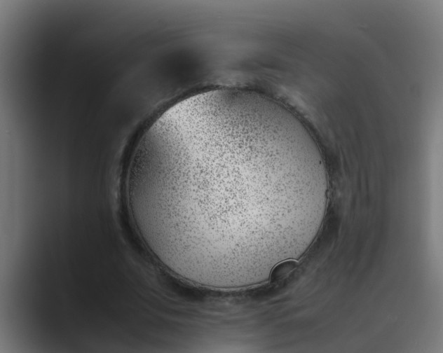 X0000089460679200706291501