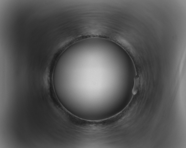 X0000089460680200706291501