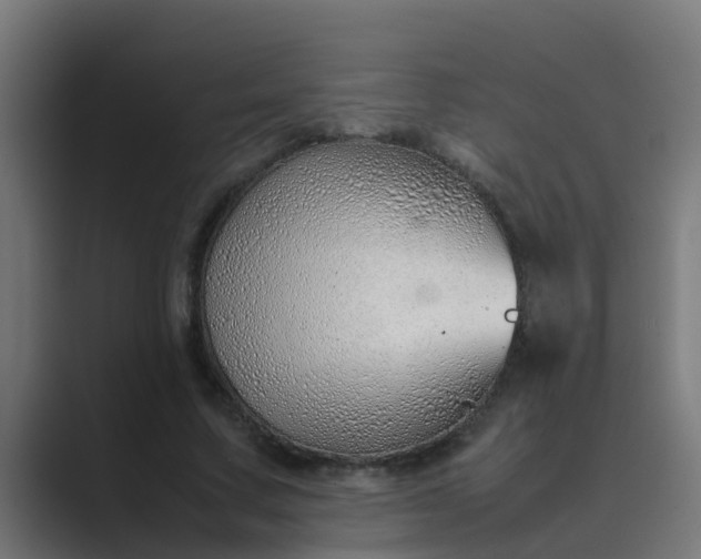 X0000089460683200706291501