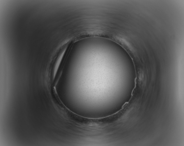 X0000089460684200706291501