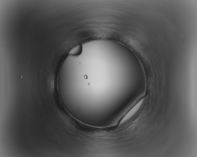 X0000089460685200706291501