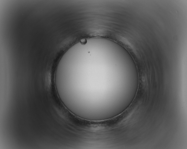 X0000089460686200706291501