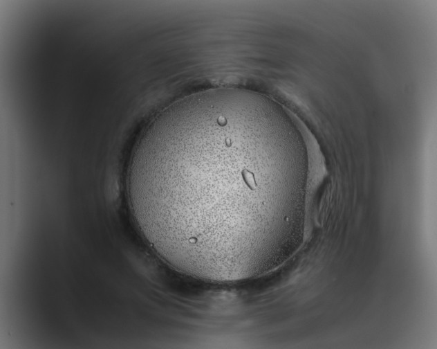 X0000089460687200706291501