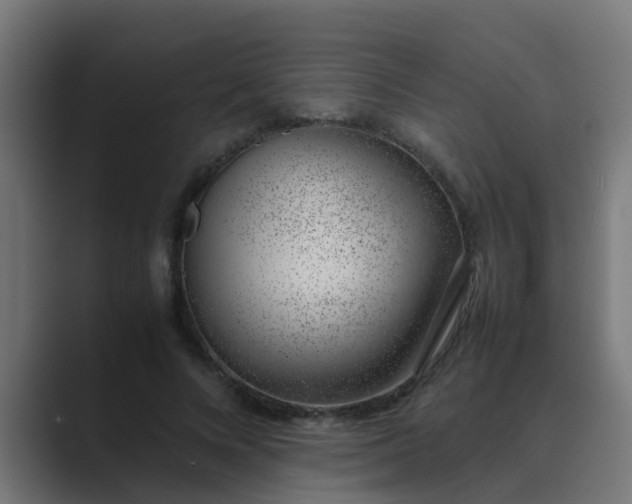X0000089460688200706291501