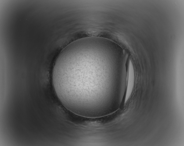 X0000089460689200706291501