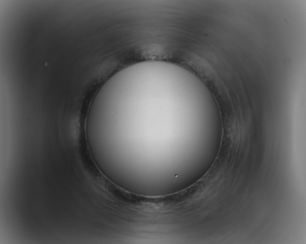 X0000089460690200706291501
