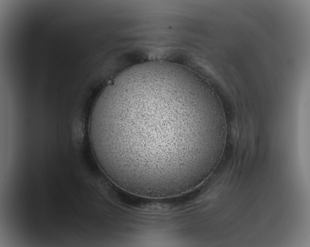 X0000089460691200706291501