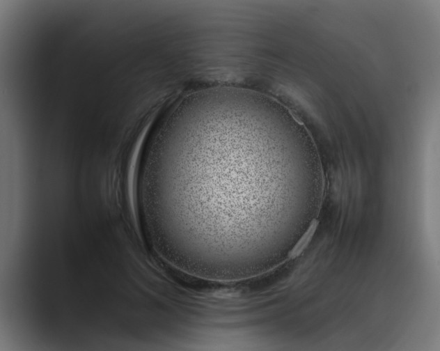 X0000089460692200706291501