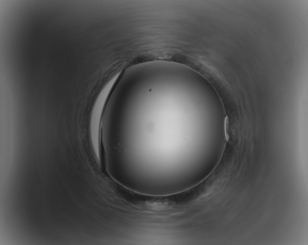 X0000089460693200706291501