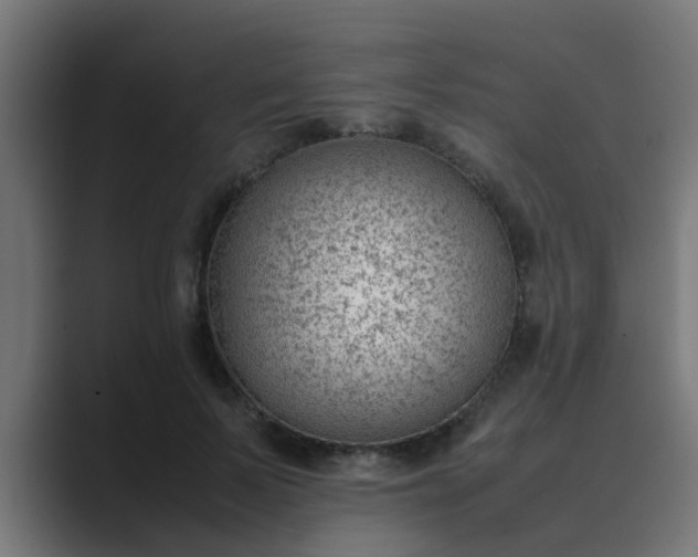X0000089460695200706291501
