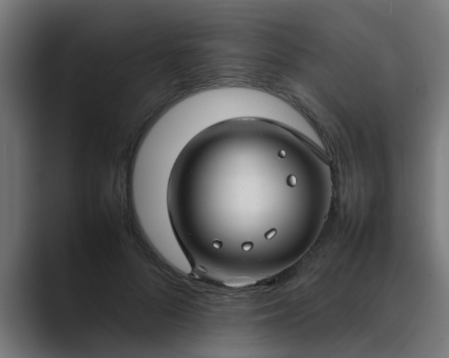 X0000089460696200706291501