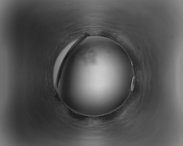 X0000089460697200706291501