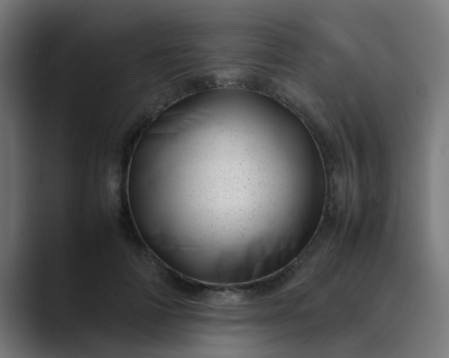 X0000089460698200706291501