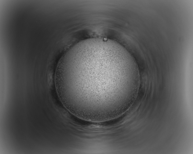 X0000089460699200706291501