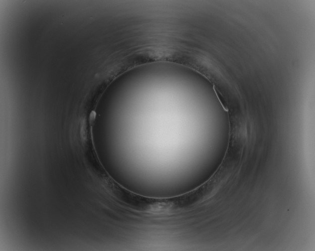 X0000089460700200706291501