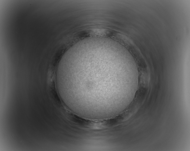 X0000089460701200706291501