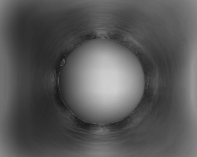 X0000089460702200706291501