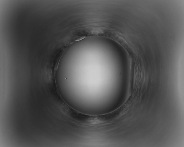 X0000089460704200706291501