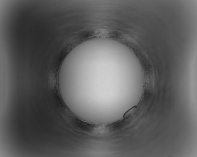 X0000089460705200706291501