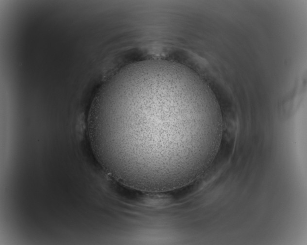 X0000089460707200706291501