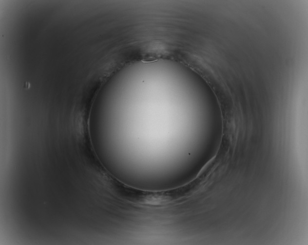 X0000089460708200706291501