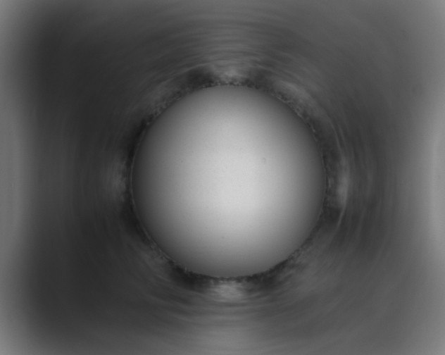 X0000089460710200706291501