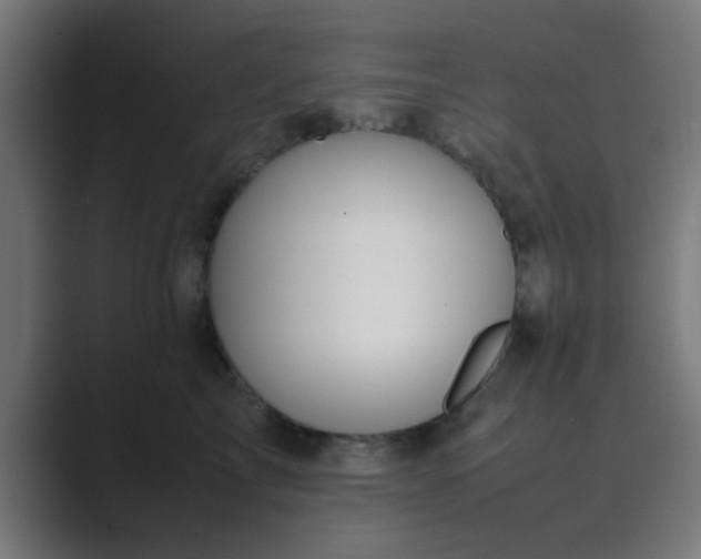 X0000089460713200706291501