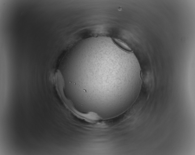 X0000089460715200706291501
