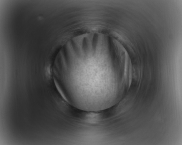X0000089460718200706291501